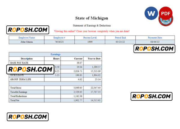 USA State of Michigan social services company pay stub Word and PDF template