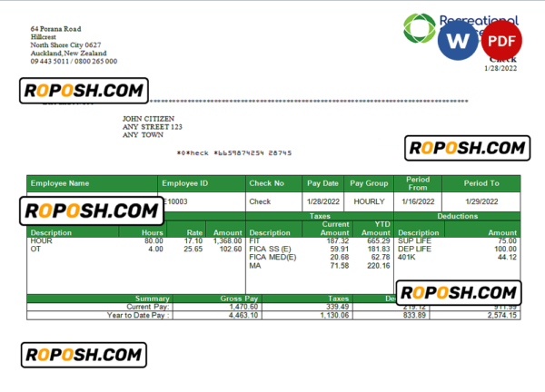 USA Recreational Services entertainment company pay stub Word and PDF template