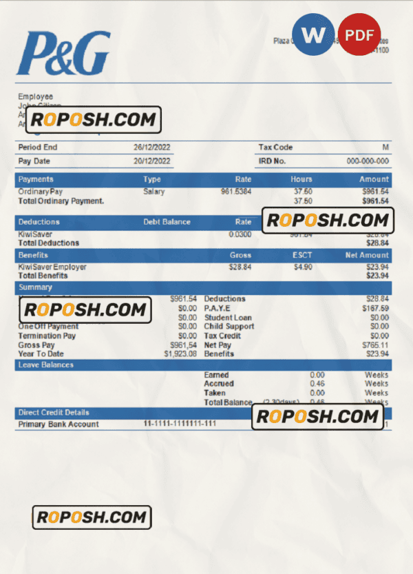 USA Procter & Gamble consumer products company pay stub Word and PDF template