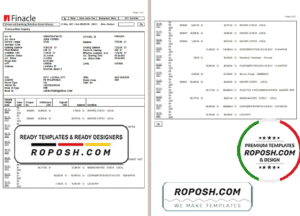 India Finacle bank statement in Word and PDF format (2 pages)