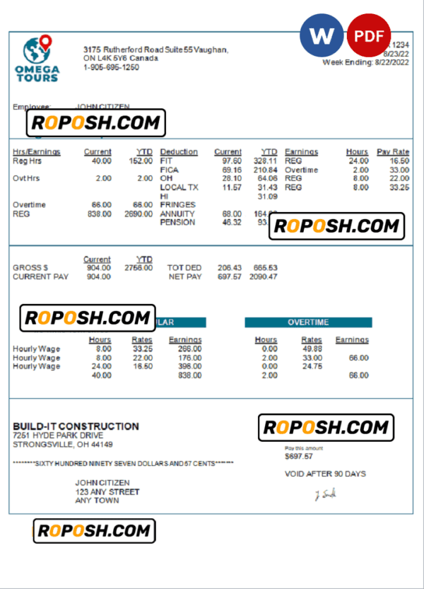USA Omega Tours tourism company pay stub Word and PDF template