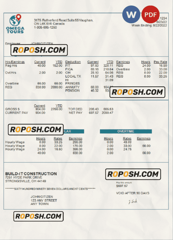 USA Omega Tours tourism company pay stub Word and PDF template