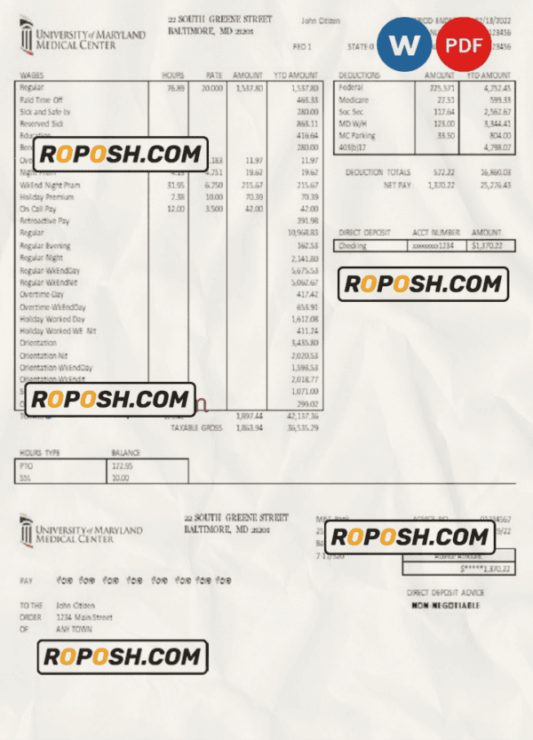 USA Maryland University of Maryland Medical Center pay stub Word and PDF template