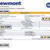 USA Newmont Corporation mining company pay stub Word and PDF template