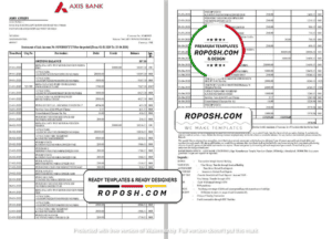 India Axis Bank statement template in Word and PDF format (2 pages)