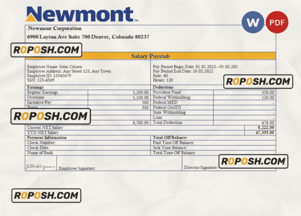 USA Newmont Corporation mining company pay stub Word and PDF template