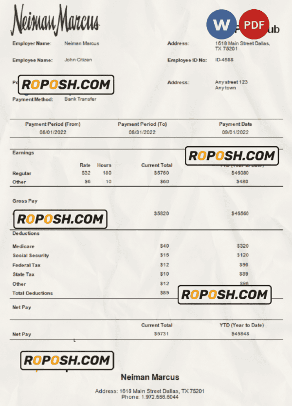USA Neiman Marcus department store company pay stub Word and PDF template