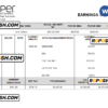USA Juniper networking company pay stub Word and PDF template