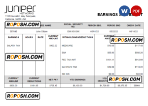USA Juniper networking company pay stub Word and PDF template