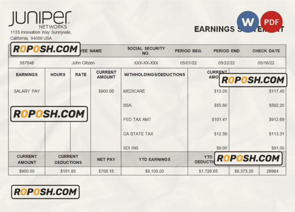 USA Juniper networking company pay stub Word and PDF template