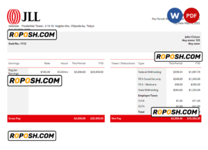 USA JLL real estate company pay stub Word and PDF template