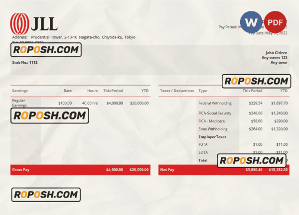 USA JLL real estate company pay stub Word and PDF template