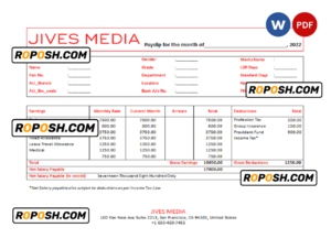 USA Jives Media advertising company pay stub Word and PDF template