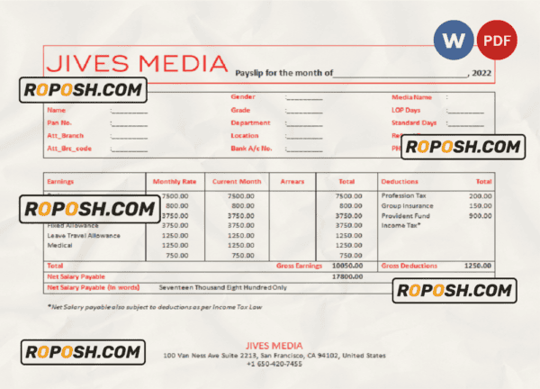 USA Jives Media advertising company pay stub Word and PDF template