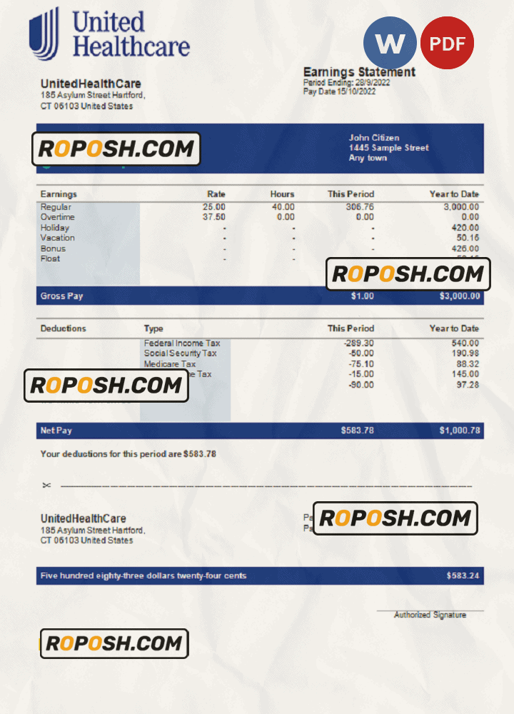USA UnitedHealthCare managed care company pay stub Word and PDF template USA UnitedHealthCare managed care company pay stub Word and PDF template