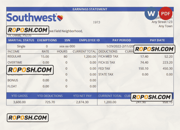 USA Southwest Airlines airlines company pay stub Word and PDF template