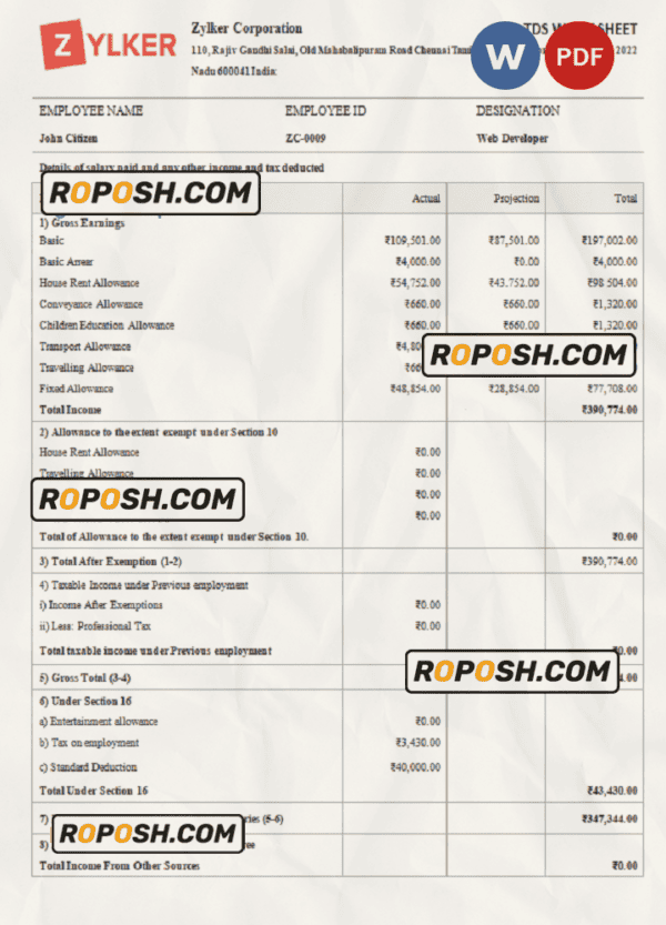 India Zylker Corporation software company pay stub Word and PDF template