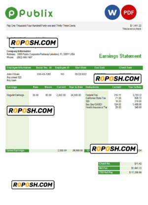 USA Publix Super Markets Inc. supermarket company pay stub Word and PDF template