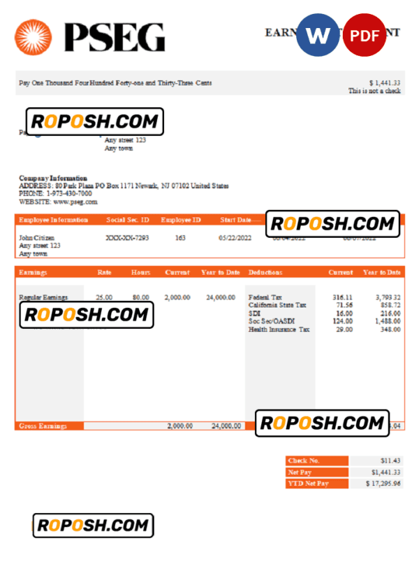 USA PSEG utilities company pay stub Word and PDF template