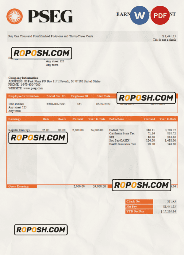 USA PSEG utilities company pay stub Word and PDF template