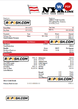 USA NIPPON YUSEN KAISHA shipping company pay stub Word and PDF template