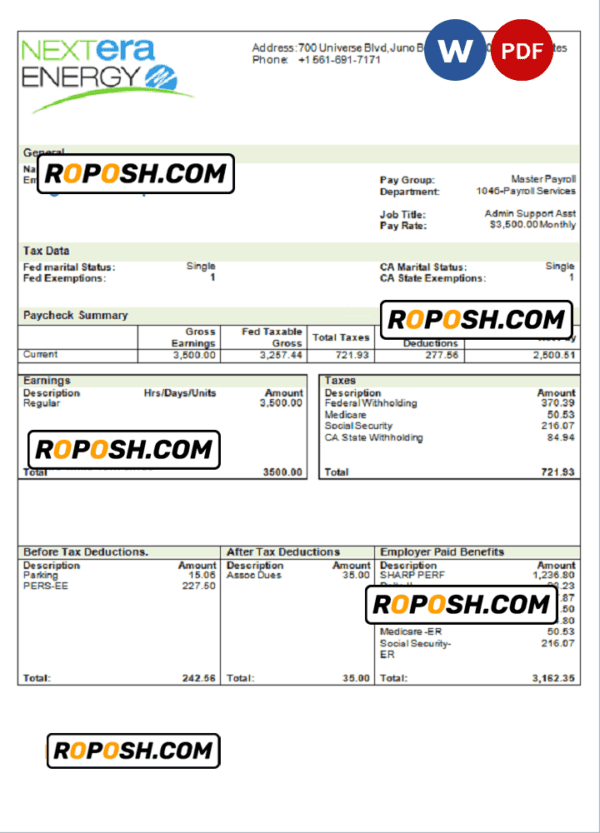 USA NextEra Energy electric company pay stub Word and PDF template