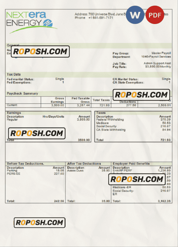 USA NextEra Energy electric company pay stub Word and PDF template