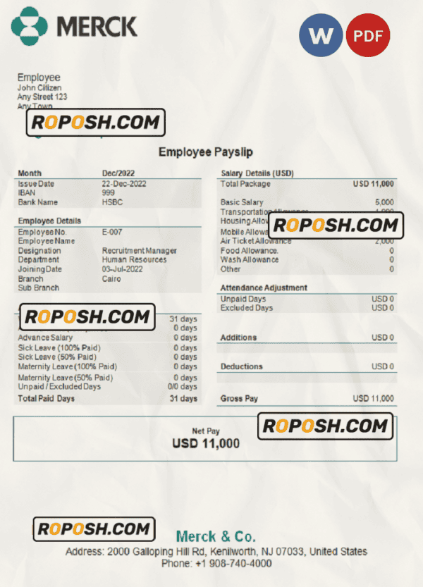 USA Merck & Co. pharmaceutical company pay stub Word and PDF template