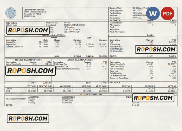 USA University of California educational company pay stub Word and PDF template