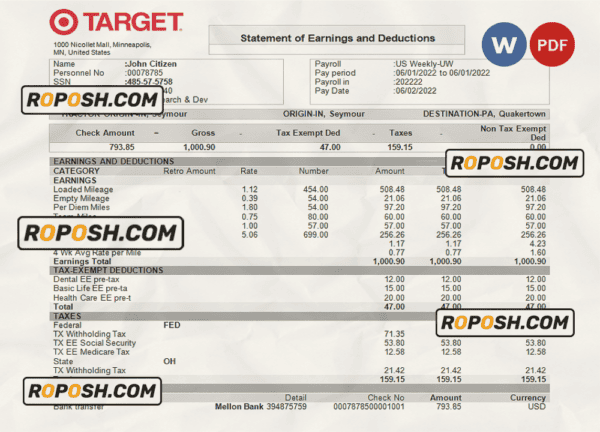 USA Target retail company pay stub Word and PDF template