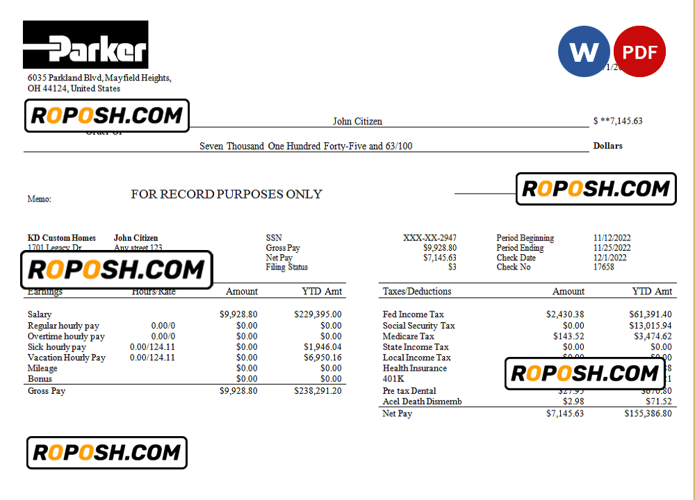 USA Parker Hannifin engineering company pay stub Word and PDF template