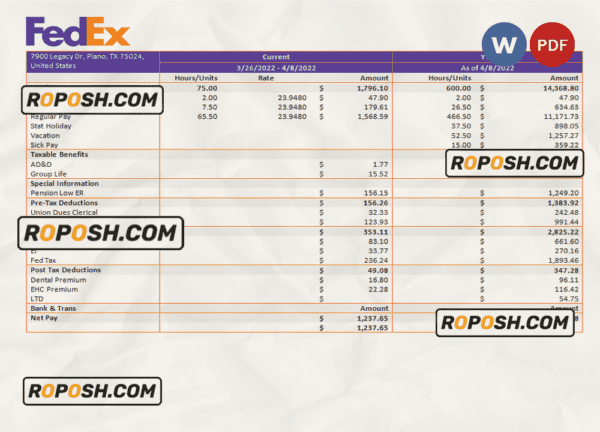 USA Fedex transportation company pay stub Word and PDF template