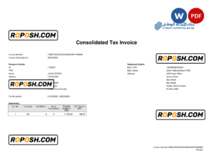 UAE Abu Dhabi Union National bank statement, Word and PDF template, 2 pages