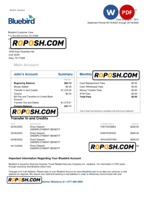 USA Bluebird bank statement Word and PDF template