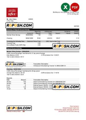 Australia BECU bank statement easy to fill template in Excel and PDF format, 2 pages