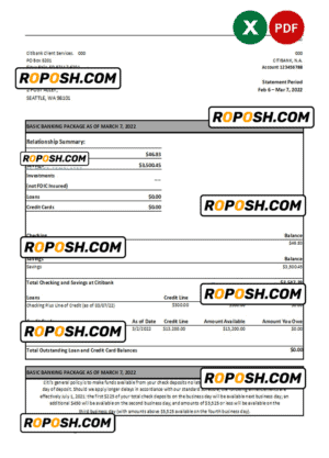 Australia Citibank bank statement Excel and PDF template