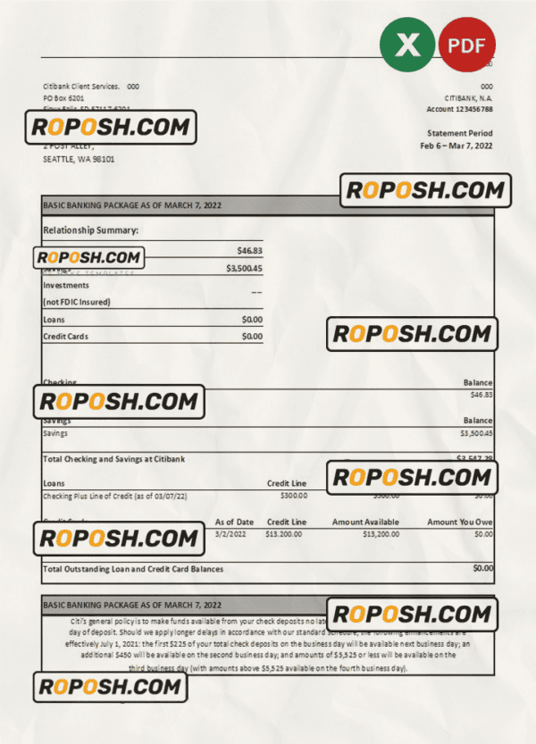 Australia Citibank bank statement Excel and PDF template
