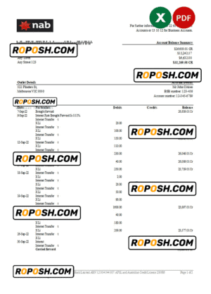 Australia NAB bank statement, Excel and PDF template, 2 pages