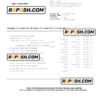 USA PayPal account statement Word and PDF template