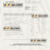 USA PayPal account statement Word and PDF template