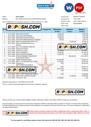 India Bank of India bank statement Word and PDF template