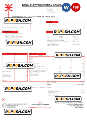 Benin Electric Company Word and PDF utility bill template