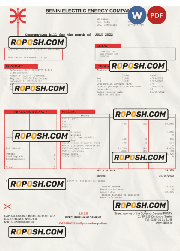 Benin Electric Company Word and PDF utility bill template