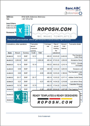Botswana Bank ABC bank statement template in Excel and PDF format