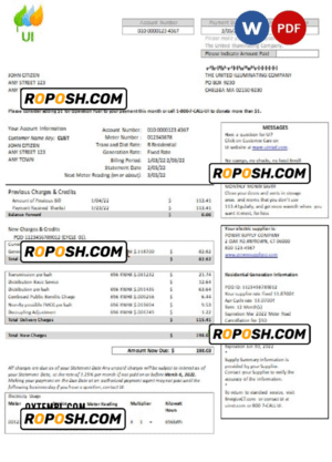 USA Massachusetts Chelsea UI The United Illuminating Company utility bill Word and PDF template