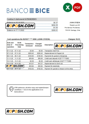Chile Banco Bice bank statement Excel and PDF template (AutoSum)