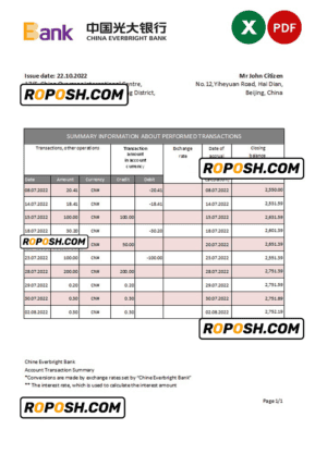 China Everbright Bank statement .xls and .pdf template, completely editable (AutoSum)