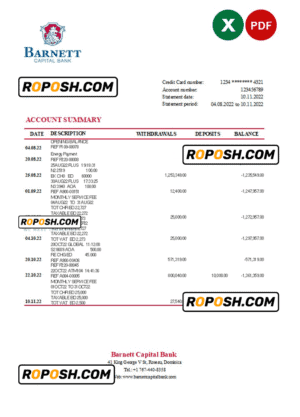 Dominica Barnett Capital Bank statement Excel and PDF template
