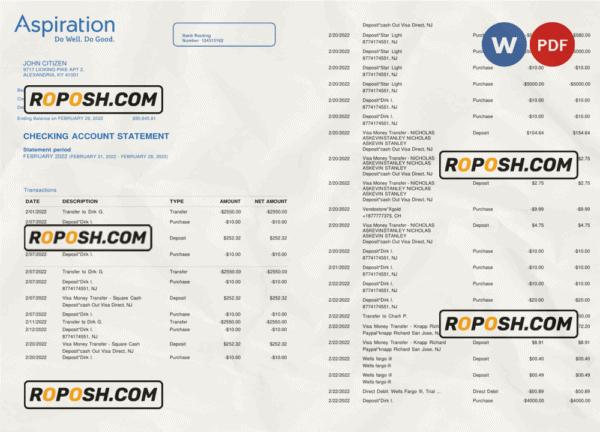 Egypt Aspiration bank statement, Word and PDF template, 4 pages