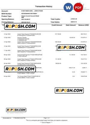 UAE Fujeirah National bank (NFB) bank statement, Word and PDF template